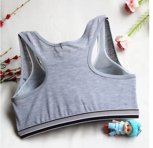 Women Yoga Fitness Sports Bra Workout Tank Tops Bounce Control Jogging Bras Push Up Running Top Active Wear Fashion Underwear