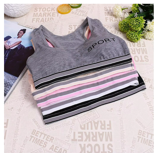 Women Yoga Fitness Sports Bra Workout Tank Tops Bounce Control Jogging Bras Push Up Running Top Active Wear Fashion Underwear
