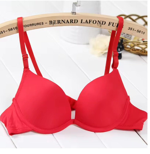 Female Bra Summer Breathable Student Single Breasted Sexy Cute Gathered Smooth Seamless Comfortable Girl's Bra