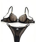 French Style Sexy Embroidered Transparent Underwear Set V-Neck Design Anti-Sagging Breathable Bra And Panties Ensemble